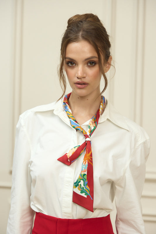 The Secrets of the Emirati Dhow (Red Frame )/ Silk twilly scarf