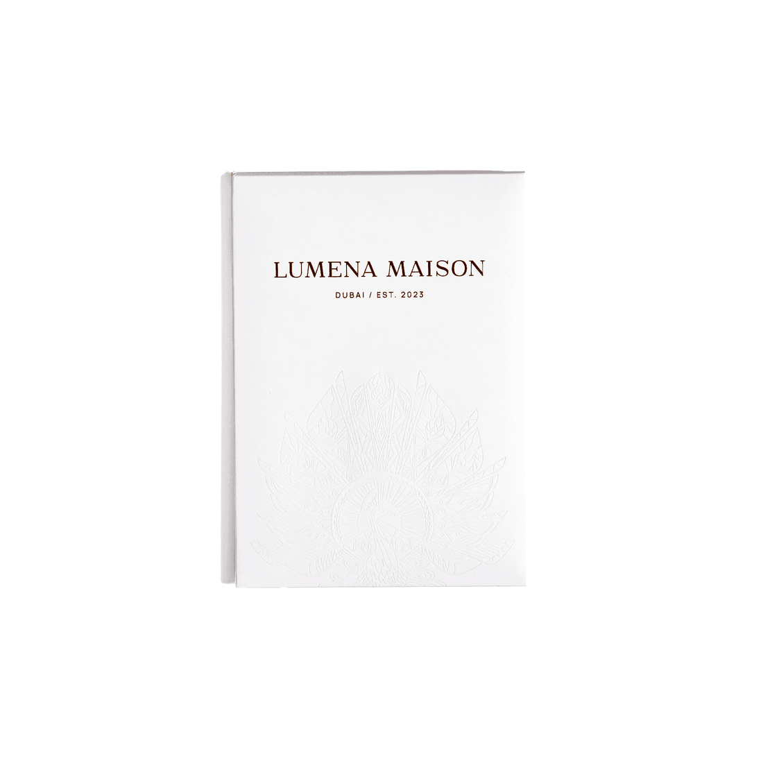 Signature silk packaging for elegant scarf presentation | Lumena Maison