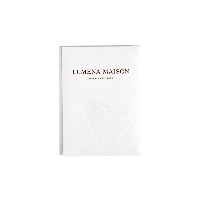 Formula 1 Abu Dhabi (Brown) / Silk scarf - Lumena Maison